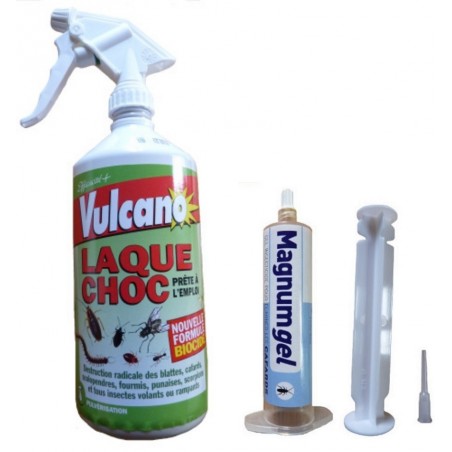 Insecticide puces et punaises de lit de 50 à 90m3 - Vulcano